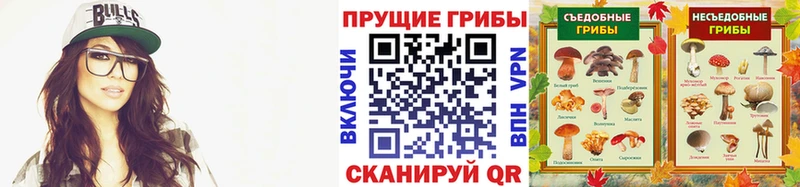 дарк нет телеграм Северобайкальск Псилоцибиновые грибы MAGIC MUSHROOMS